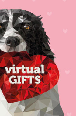 Virtual Gifts